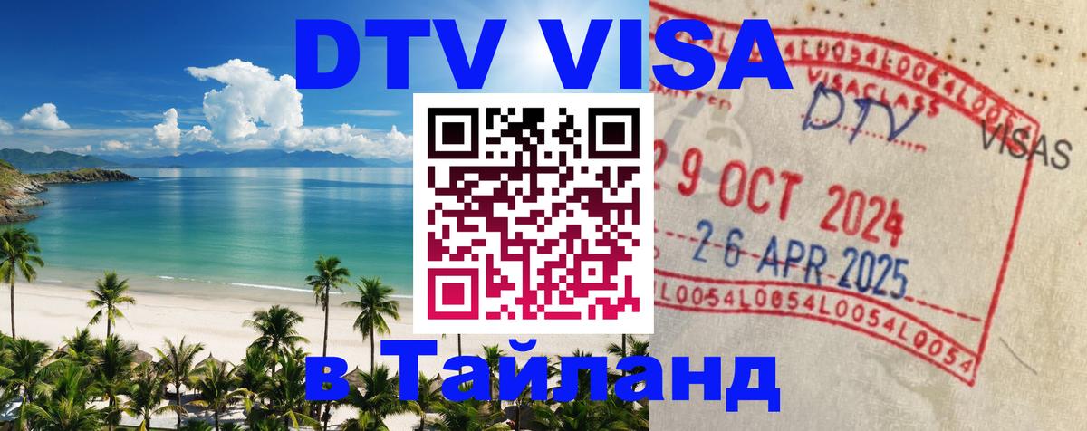 Оформление DTV визы под ключ: стоимость и тарифы, только загранпаспорт - Набережные Челны  19.11.2025 